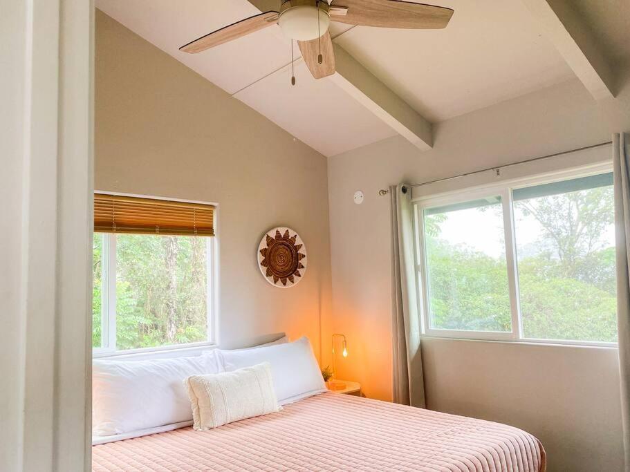 키아우 Hibiscus Hale, Full Kitchen, King Bed, Parking 아파트 외부 사진